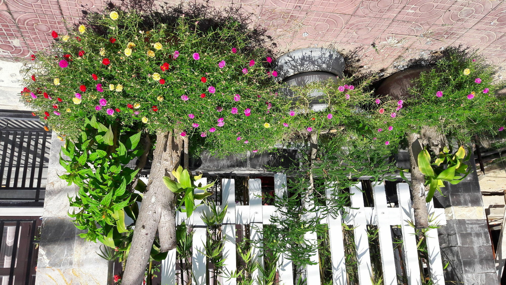 דירות הוי אן The House 36 מראה חיצוני תמונה